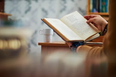 orang sedang membaca buku