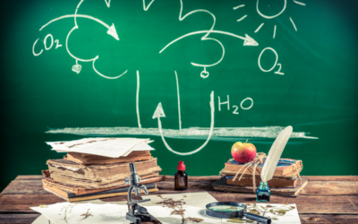 15+ Contoh Soal Biologi UTBK SNBT dan Jawabannya