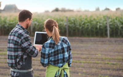 Perbedaan Jurusan Agribisnis & Agroteknologi