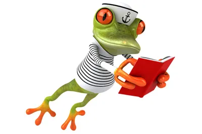 Ilustrasi seekor katak mengenakan pakaian pelaut sambil membaca buku.