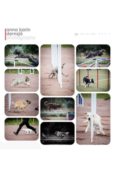 contoh portofolio fotografi