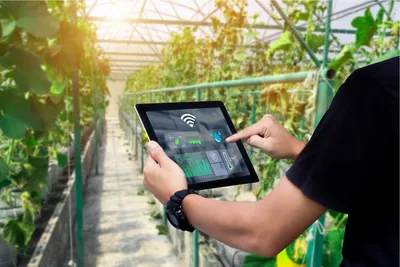 seseorang sedang memegang tablet dengan aplikasi pertanian