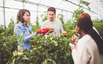 Daftar Jurusan Agroteknologi Terbaik di Indonesia