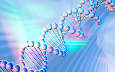 10+ Contoh Soal UTBK Biologi: Biokimia, Persilangan dan Mutasi, Metabolisme Sel