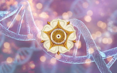 10 Contoh Soal Biologi UTUL UGM Saintek dan Kunci Jawaban