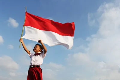 mengibarkan bendera indonesia