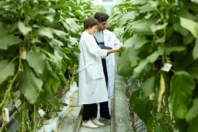 agronomist