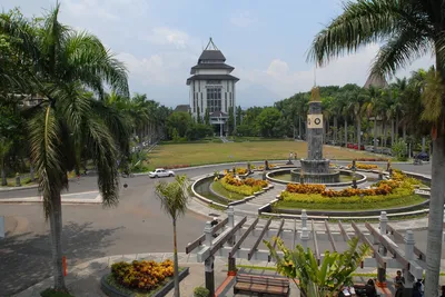 rektorat ub