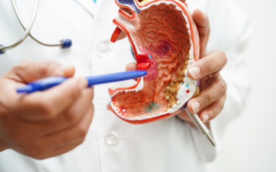 Rangkuman Materi Biologi: Sistem Pencernaan pada Manusia