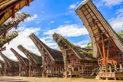 rumah adat sulawesi