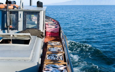 Jurusan Perikanan: Info Kuliah, Prospek Kerja, dan Kampus Terbaiknya