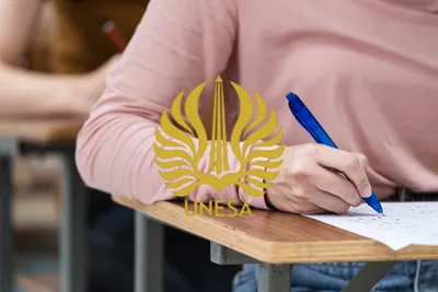 logo UNESA