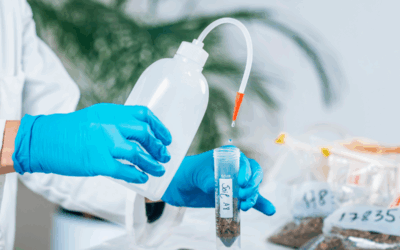 Jurusan Ilmu Tanah: Info Kuliah, Prospek Kerja, dan Kampusnya