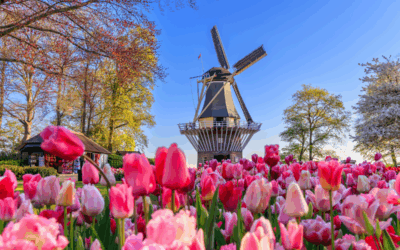 Mengenal Jurusan Sastra Belanda yang Hanya Ada Satu di Indonesia
