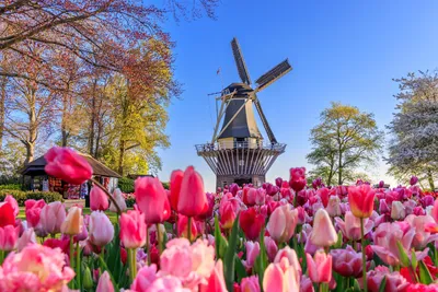 negara belanda
