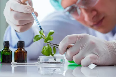 bioteknologi