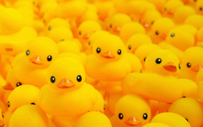 Memahami Duck Syndrome di Kalangan Mahasiswa, Jangan Disepelekan!