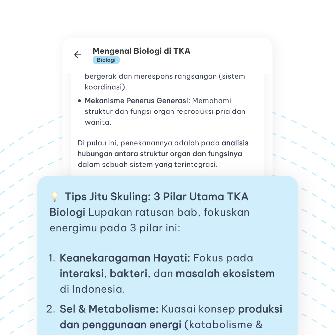Xplain Group 3 pro tip box