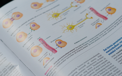 Kisi-kisi Soal Biologi (Mapel Pilihan) TKA SMA 2025 Lengkap dengan Contoh Soal dan Pembahasan