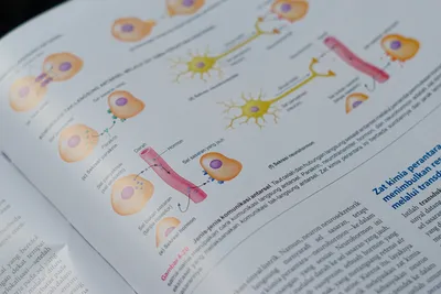 materi biologi