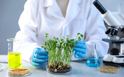 Jurusan Mikrobiologi: Info Kuliah, Prospek Kerja, dan Rekomendasi Kampus