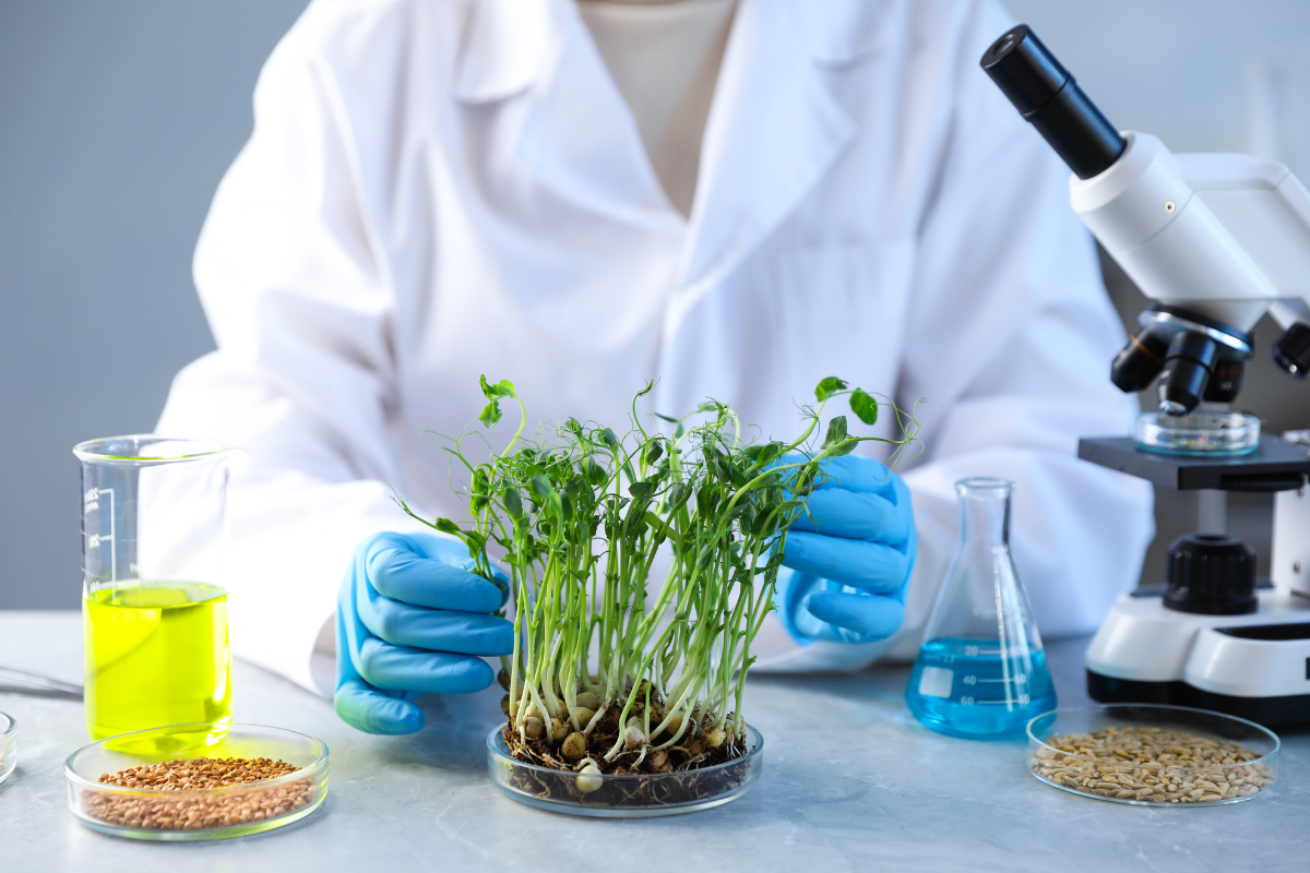 mikrobiologi pertanian